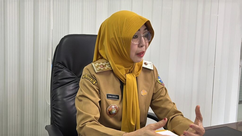 Kepala Dinas Kependudukan dan Pencatatan Sipil Kota Pontianak Erma Suryani saat memberikan keterangan terkait akta kelahiran yang diterbitkan pihaknya.