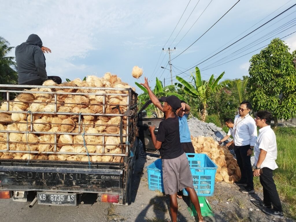 Angkutan kelapa dari kebun ke pasar. Petani senang, harga menggiurkan. (Sumber foto : kalbarprov.go.id)