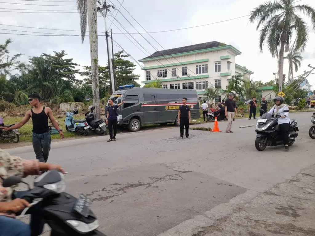 Petugas membersihkan pohon tumbang di Mempawah yang timpa warga hingga melukai pengendara motor
