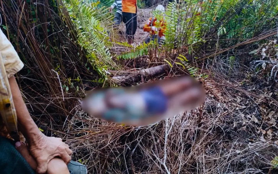 Petugas kepolisian mengevakuasi lansia yang ditemukan meninggal di kebun Kuala Mandor