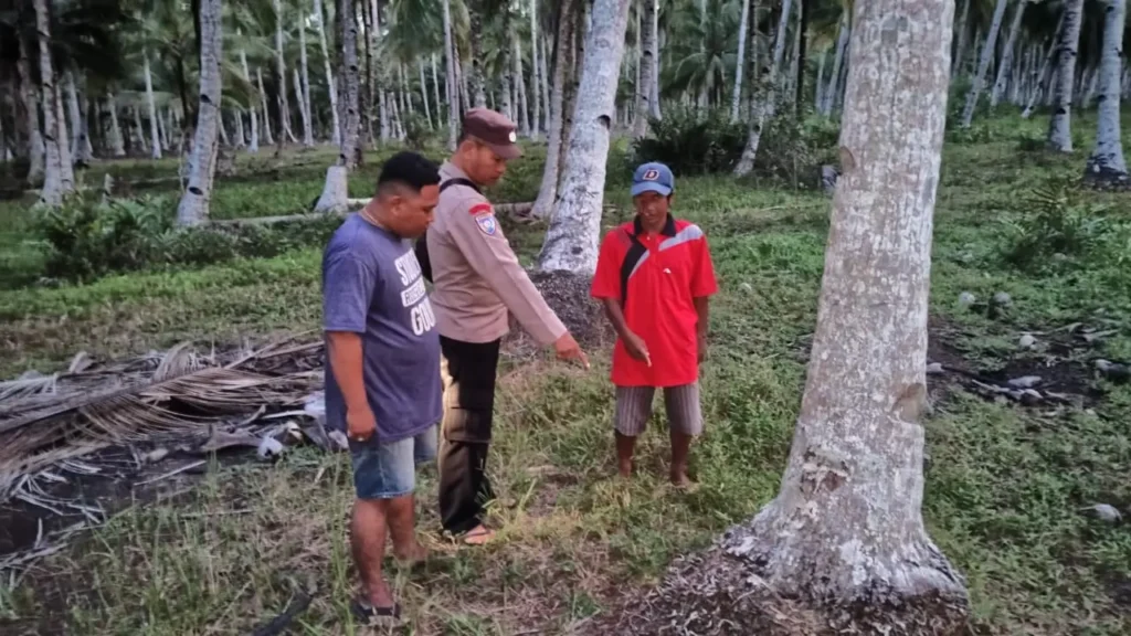 Kebun kelapa Padang Tikar, Kubu Raya, lokasi penemuan bayi baru lahir