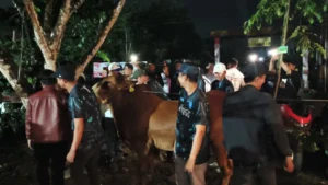 Wakil Wali Kota Pontianak Bahasan menyerahkan secara simbolis hadiah satu ekor sapi kepada Tim Radit FC yang meraih juara Turnamen Mini Soccer Bahasan Cup 2025.