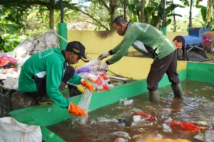 Pengolahan sampah plastik untuk didaur ulang menjadi bahan bakar alternatif.