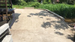 Jembatan di Gang Teluk Sahang II Dalam Kelurahan Siantan Hilir Kecamatan Pontianak Utara mempermudah akses warga.