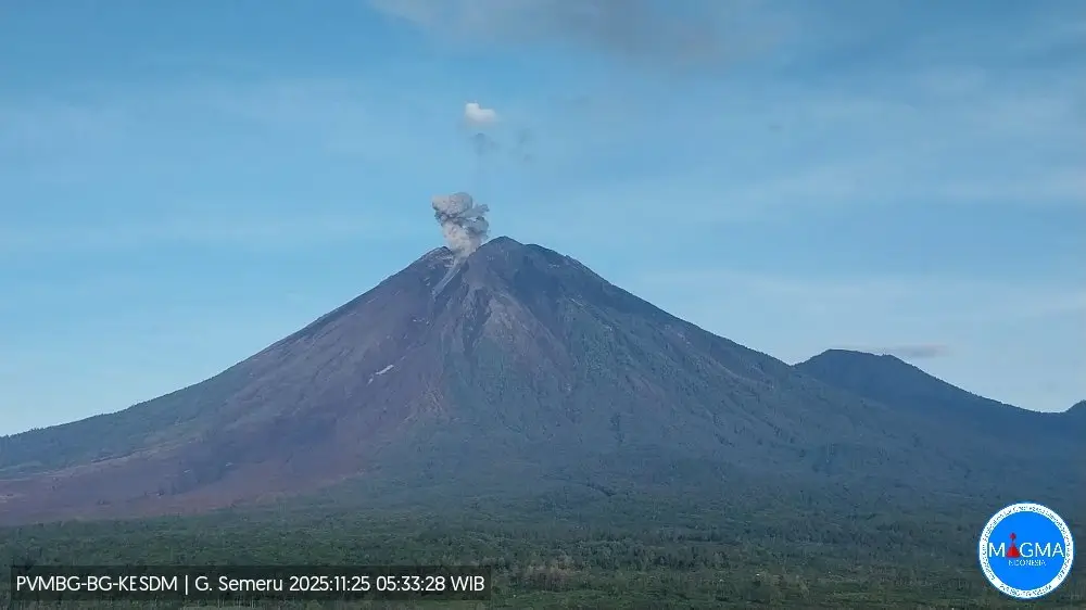 Kolom abu erupsi Gunung Semeru membumbung tinggi saat aktivitas vulkanik meningkat pada dini hari. (PVMBG ESDM)