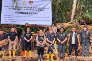 Tim Dittipidter Bareskrim Polri melakukan pemeriksaan gelondongan kayu yang terbawa banjir di DAS Garoga, Tapanuli Utara. (dok. Humas Polri)