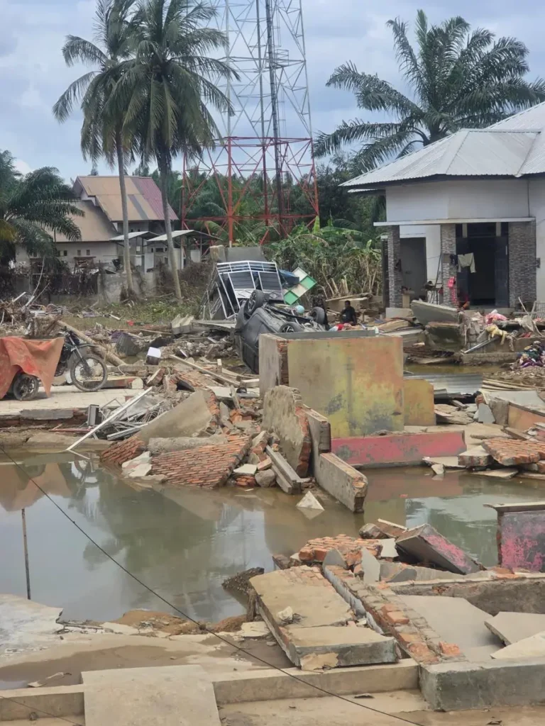 Tim SAR BNPB dan Basarnas melakukan pencarian korban bencana hidrometeorologi di Aceh, Sumut, dan Sumbar. (x.com/RohtaAnjulian)