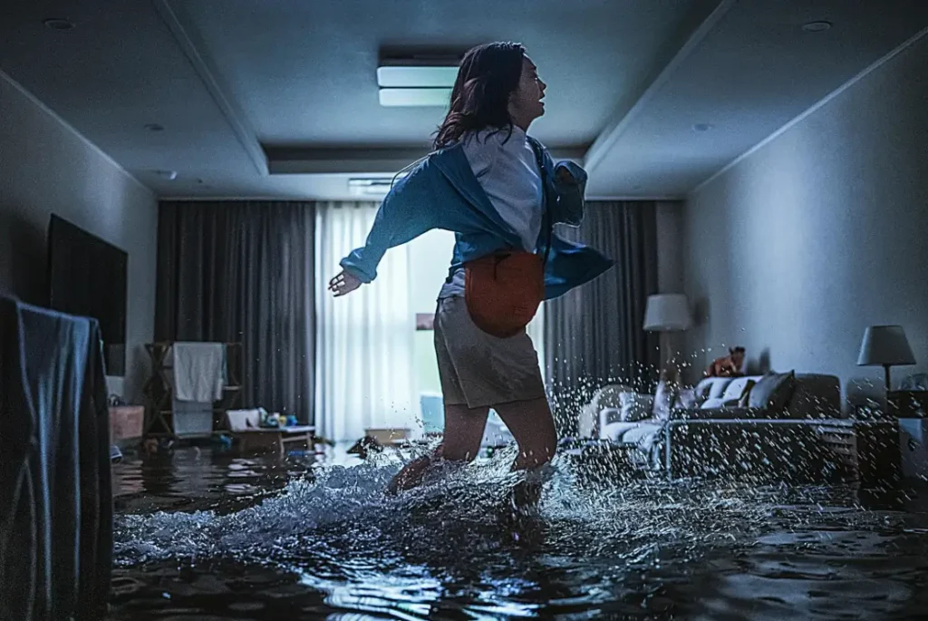 Poster film The Great Flood Netflix karya sutradara Kim Byung-woo yang viral secara global. (IMDb)