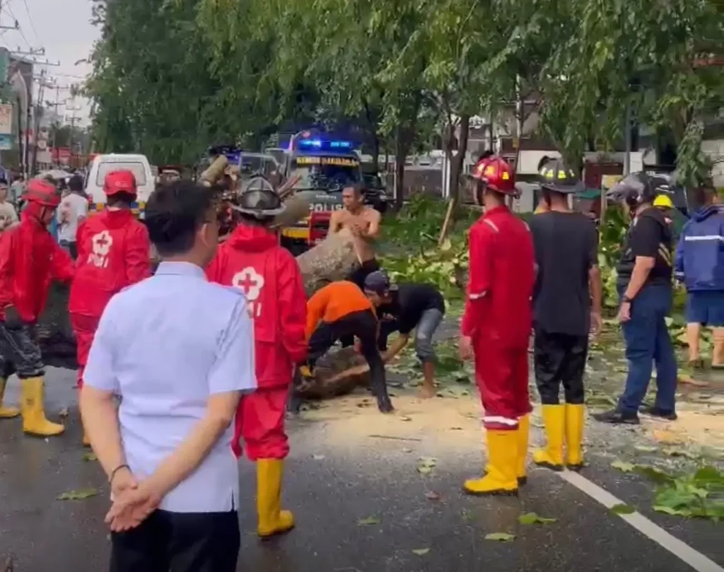 Petugas tengah mengevakuasi pohon tumbang beberapa waktu lalu.
