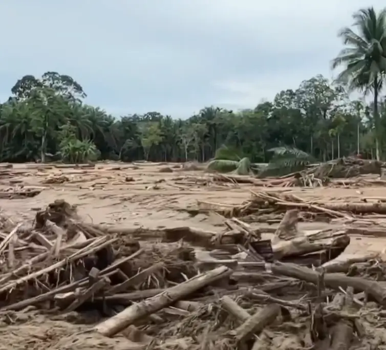 Tim Dittipidter Bareskrim Polri melakukan pemeriksaan gelondongan kayu yang terbawa banjir di DAS Garoga, Tapanuli Utara. (x.com/ranggavega)