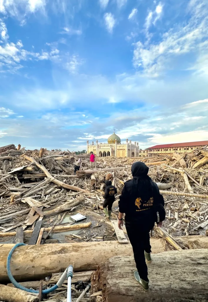 Kayu gelondongan yang terbawa banjir bandang di wilayah Sumatera. (x.com/misallnya)