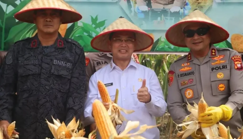 Gubernur Kalbar Ria Norsan dan Kapolda Kalbar Irjen Pol Pipit Rismanto menghadiri Panen Raya Jagung Serentak di Kubu Raya. (instagram.com/adpim.provkalbar)