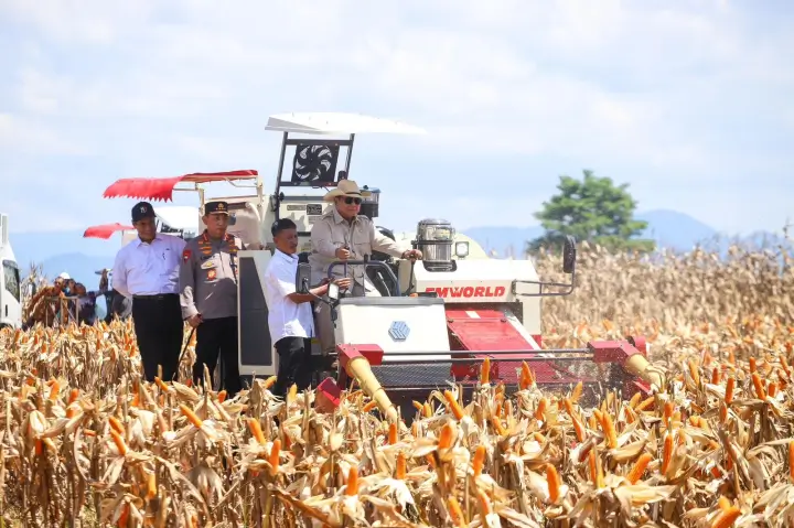 Panen jagung nasional sebagai penopang ketahanan pangan Indonesia tahun 2025. (Pertanian.go.id)