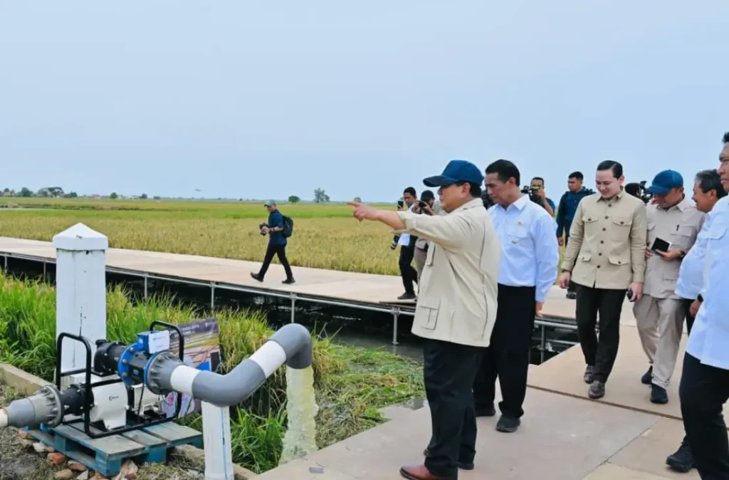 Presiden Prabowo Subianto meninjau panen raya dan teknologi pertanian modern di Karawang. (Foto: BPMI Setpres/Laily Rachev)