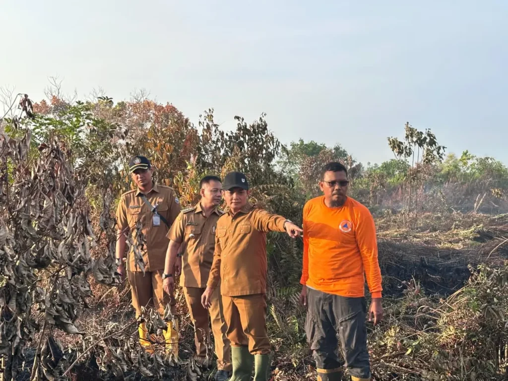 Wakil Wali Kota Pontianak Bahasan meninjau lokasi lahan yang terbakar di Parit H Husin II Pontianak Tenggara.