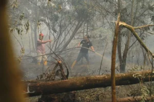 Petugas BPDB Kota Pontianak dan relawan berjibaku memadamkan api di lokasi lahan yang terbakar.