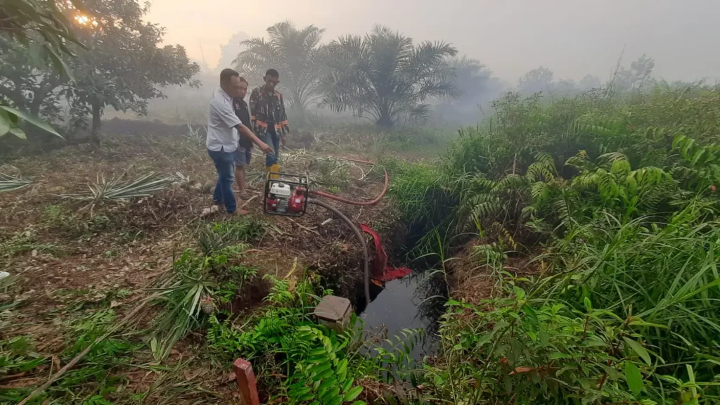 Petugas Polsek Pontianak Selatan dan BPBD memadamkan kebakaran lahan di Bansir Darat, Pontianak Selatan. (Dok. Polsek Pontianak Selatan)
