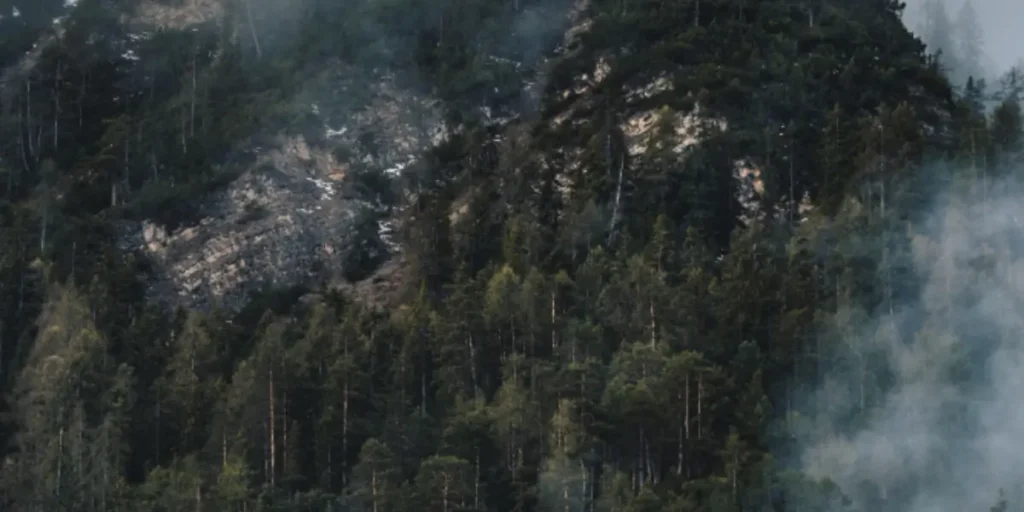 Ilustrasi: Polda Kalbar meningkatkan patroli dan kesiapsiagaan karhutla di wilayah rawan kebakaran hutan dan lahan. (freepik.com/wirestock)