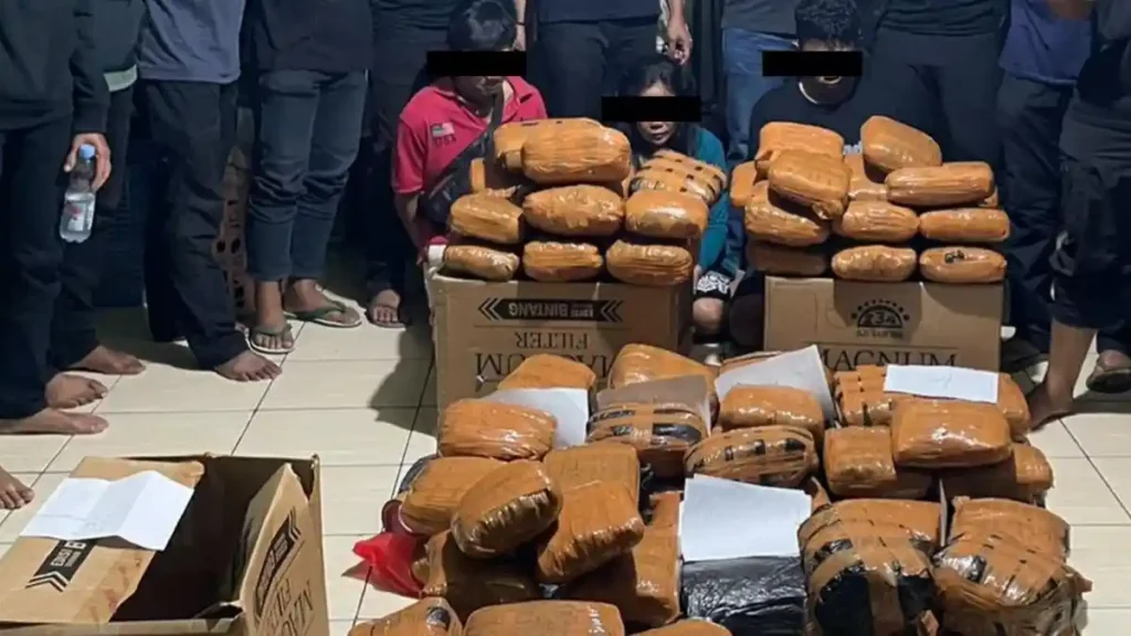 Polisi Polda Metro Jaya menunjukkan barang bukti 83 kilogram ganja hasil pengungkapan kasus peredaran narkoba di Bekasi. (Dok. Polda Metro Jaya)