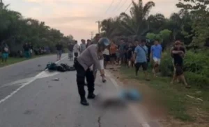 Petugas kepolisian melakukan olah TKP kecelakaan maut di Jalan Trans Kalimantan wilayah Sanggau.