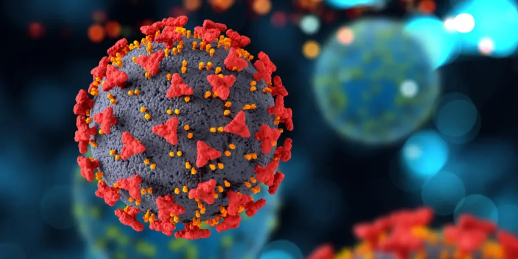 Ilustrasi - risiko Virus Nipah.