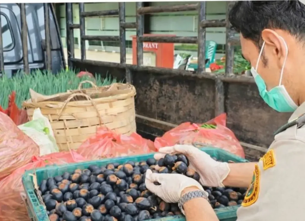 Petugas Karantina memeriksa buah Dabai dan Asam Keranji sebelum dikirim ke Malaysia melalui PLBN Jagoi Babang.