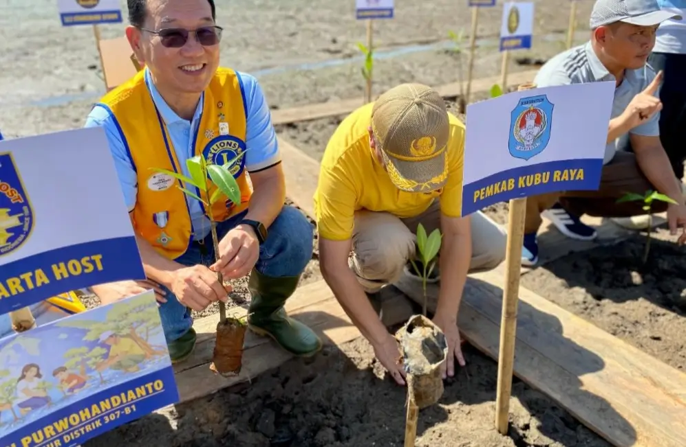 Kegiatan penanaman mangrove di Sungai Kupah Kubu Raya oleh Pemkab dan Lions Club.