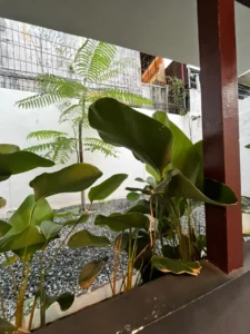 Area outdoor Lokanoa Pontianak dengan suasana tenang.