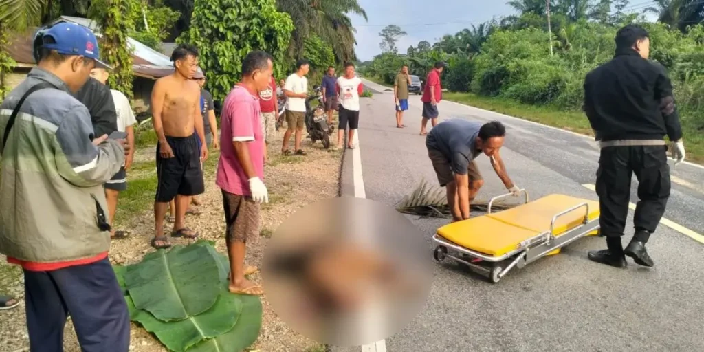 Polisi olah TKP kasus tabrak lari di Parindu.