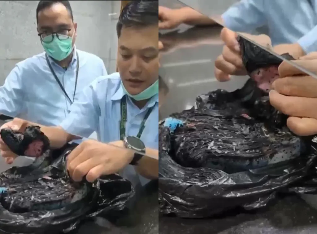 uang kertas rusak yang akan ditukar di Bank Indonesia.