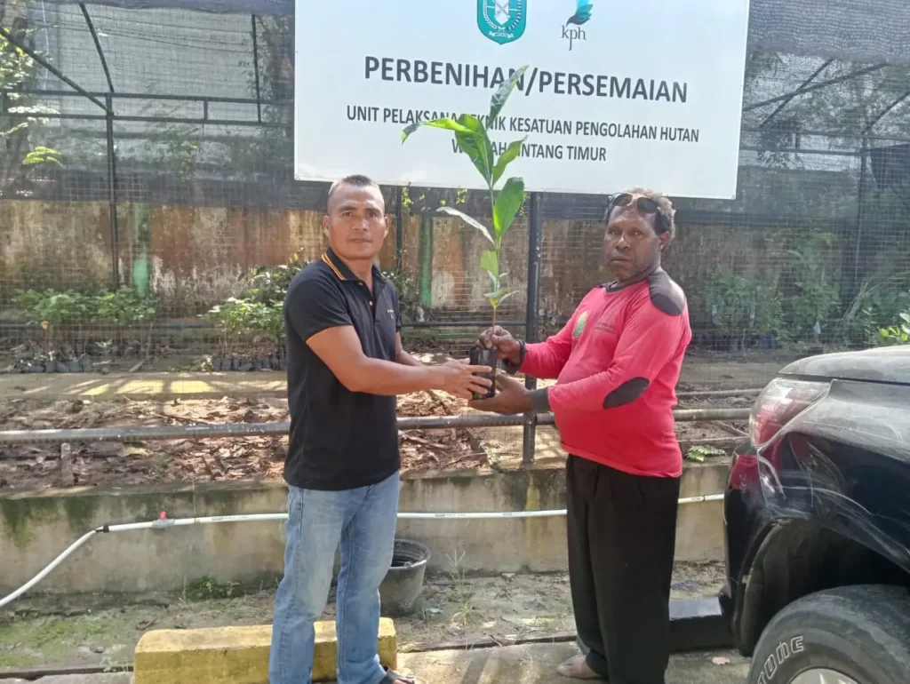 Penyerahan bantuan bibit kopi Liberika oleh KPH Wilayah Sintang Timur kepada Kelompok Tani Hutan di Kabupaten Sintang.