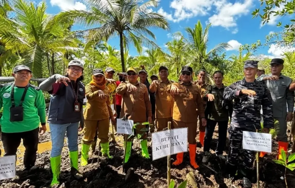 Bupati Kubu Raya Sujiwo bersama masyarakat melakukan penanaman mangrove di Desa Batu Ampar untuk mendukung restorasi lingkungan dan ekonomi warga pesisir.