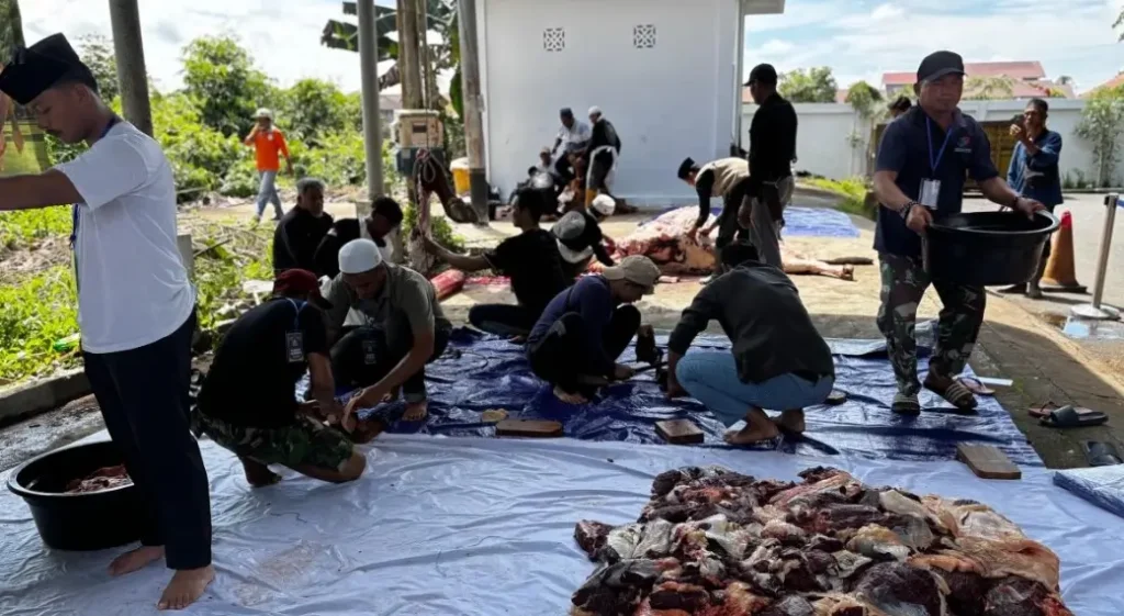 Bupati Kubu Raya Sujiwo menyaksikan penyembelihan sapi kurban bantuan Presiden RI di Masjid Al-Isra Kompleks Kantor Bupati Kubu Raya.