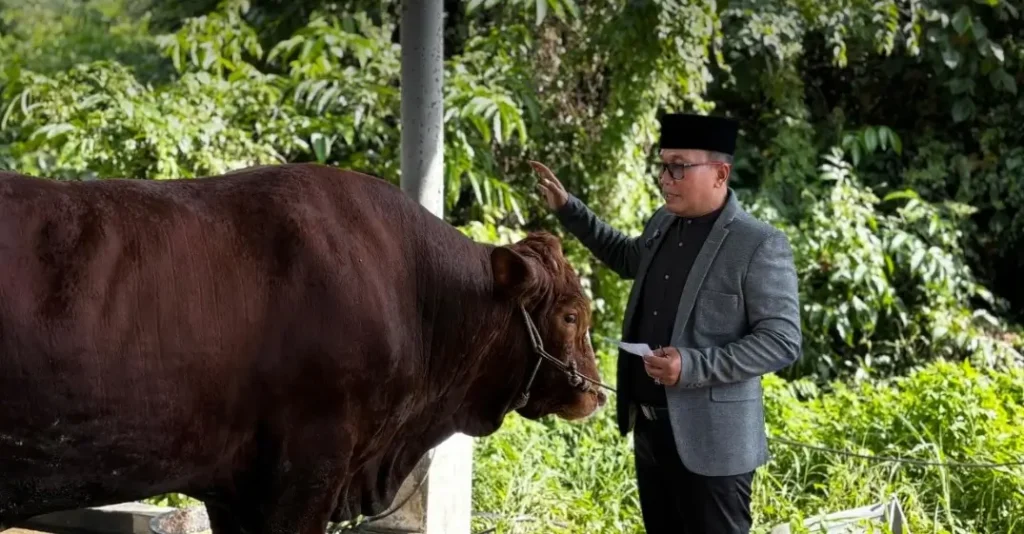 Bupati Kubu Raya Sujiwo saat menyerahkan daging kurban Iduladha 1447 Hijriah kepada masyarakat dan tenaga honorer di Kubu Raya.