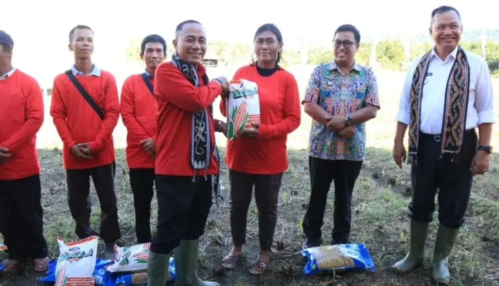 Wagub Kalbar Krisantus Kurniawan menghadiri gerakan tanam jagung massal di Jagoi Babang, Bengkayang.