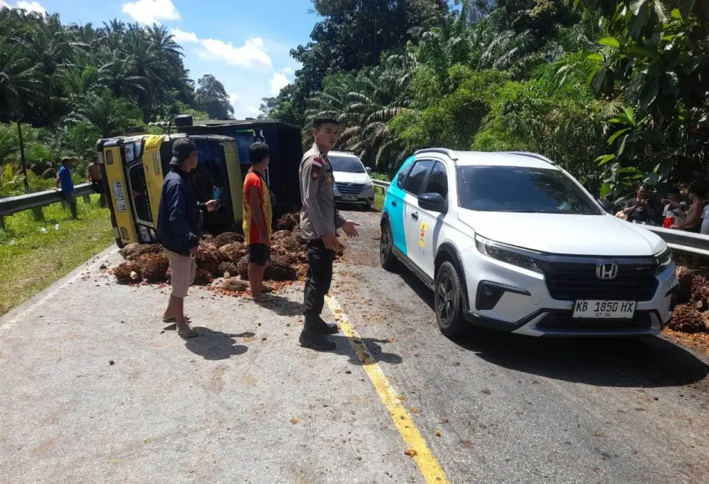 Truk Fuso bermuatan buah kelapa sawit terbalik di Jalan Batang Tarang–Tayan Hulu, Kabupaten Sanggau.
