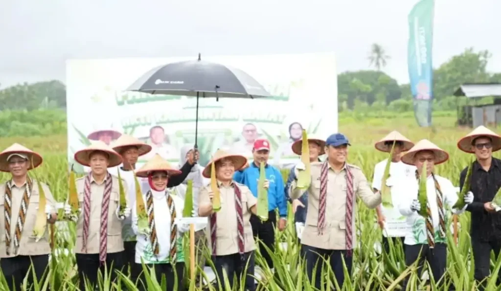 Wamentan RI Sudaryono dan Gubernur Kalbar Ria Norsan meninjau panen raya lidah buaya di Pontianak.