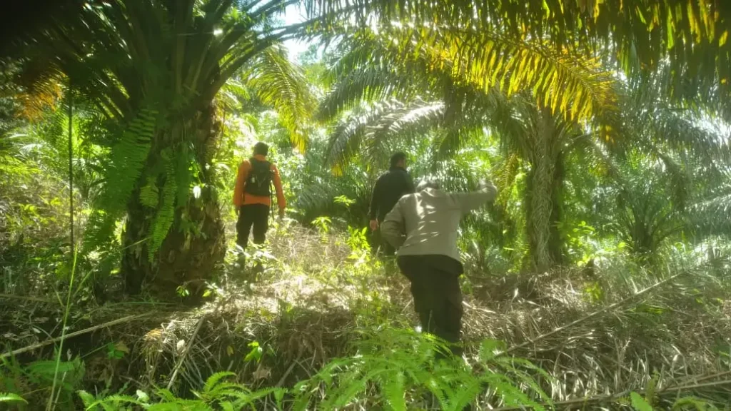 Tim SAR gabungan melakukan pencarian pria 57 tahun asal Ketapang yang hilang di Sekadau Hulu Kalimantan Barat.