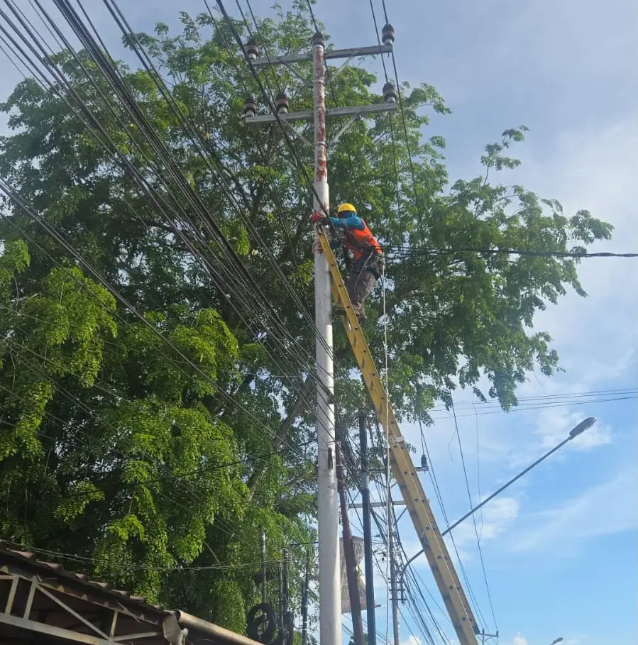 Petugas PLN melakukan pengecekan jaringan listrik saat pemadaman bergilir di wilayah Pontianak.