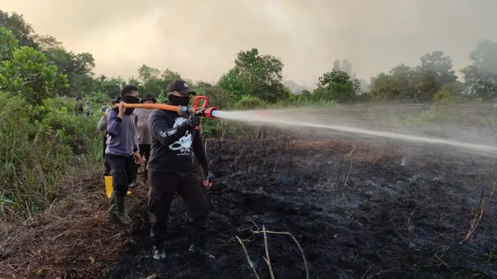 Tim gabungan melakukan pendinginan dan menyisir sisa bara api di lahan gambut bekas kebakaran hutan dan lahan di Kubu Raya.