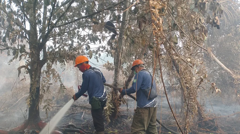 Petugas gabungan memadamkan karhutla di Desa Pasir, Kabupaten Mempawah, di tengah medan terjal dan asap tebal.