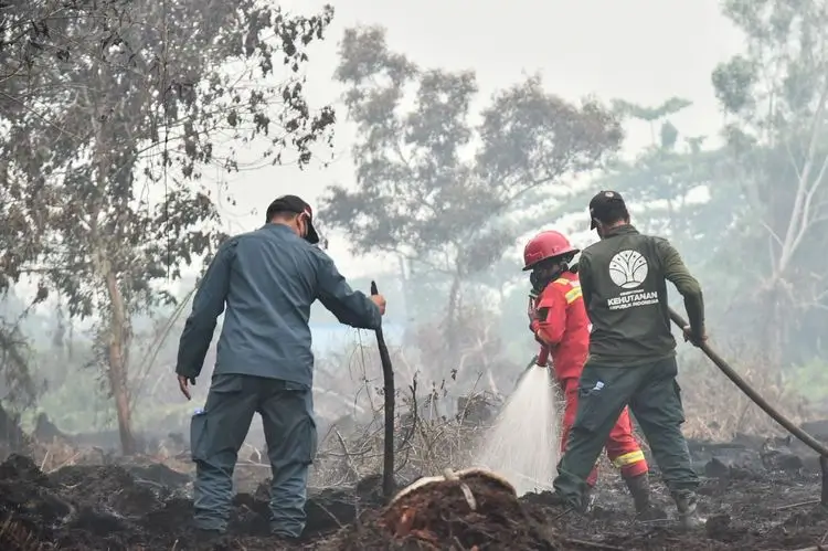 Status Tanggap Darurat Bencana Asap akibat karhutla di Kalbar di perpanjang hingga 20 September 2026.