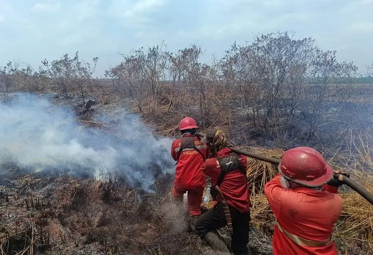 Titik panas atau hotspot terdeteksi di sejumlah wilayah Indonesia di tengah musim kemarau. (Kemenhut)