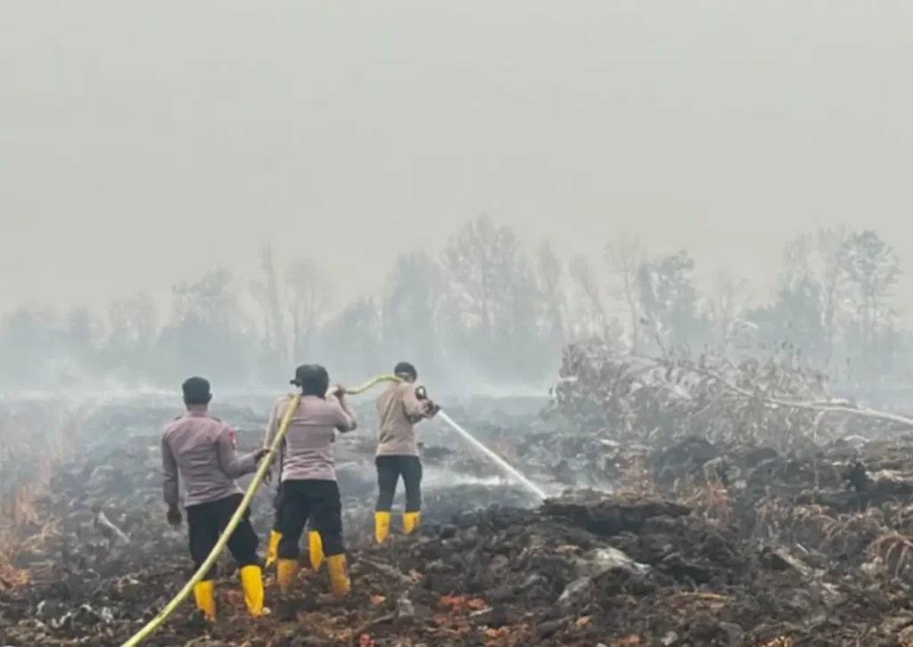 Personel Brimob melakukan pendinginan lahan gambut bekas terbakar di Rasau Jaya, Kubu Raya. (Res-KKR)