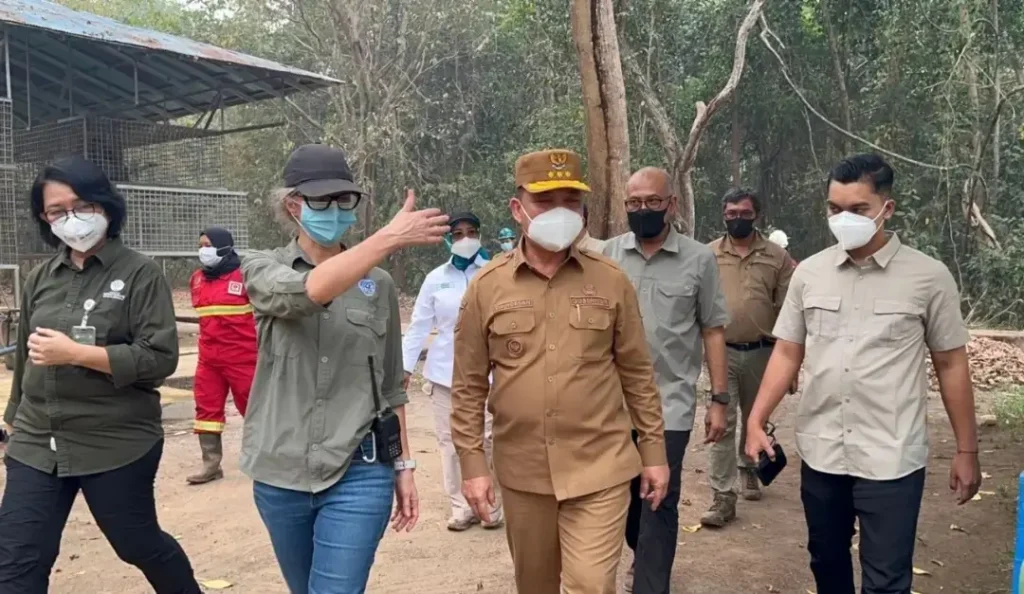 Gubernur Kalbar Ria Norsan meninjau fasilitas Pusat Rehabilitasi Orang Utan YIARI di Kabupaten Ketapang.