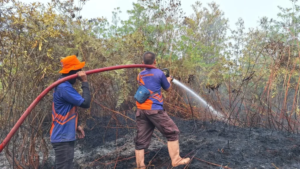Kebakaran hutan dan lahan (karhutla) melanda sejumlah wilayah di Indonesia. (foto: BNPB)