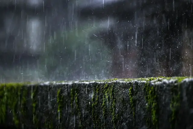 Ilustrasi - Hujan deras mengguyur Kota Pontianak setelah dilanda panas dan kabut asap karhutla. (Foto: unsplash.com/@kevin_w_)
