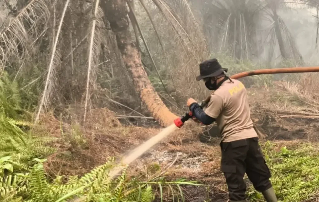 Petugas melakukan pendinginan lahan bekas karhutla di Parit Seruat Kubu Raya. (Res-KKR)