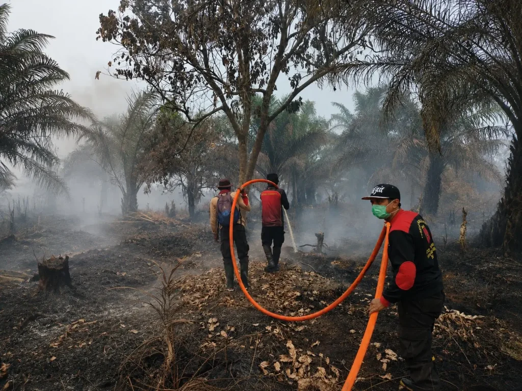 Tim gabungan melakukan pemadaman karhutla di lahan gambut Jalan Senen, Sungai Rasau, Singkawang Utara. (Foto: Res-skw)