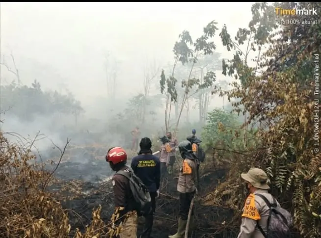 Tim gabungan memadamkan karhutla di lahan gambut Sungai Rasau, Singkawang Utara. (Res-Skw)